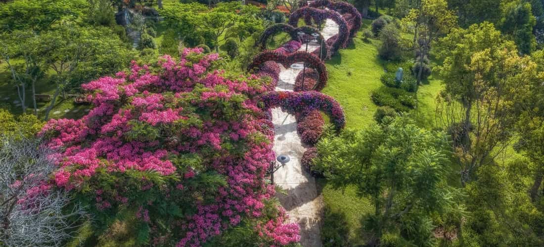 Chiêm ngưỡng & check in cùng thiên đường hoa rực rỡ sắc màu