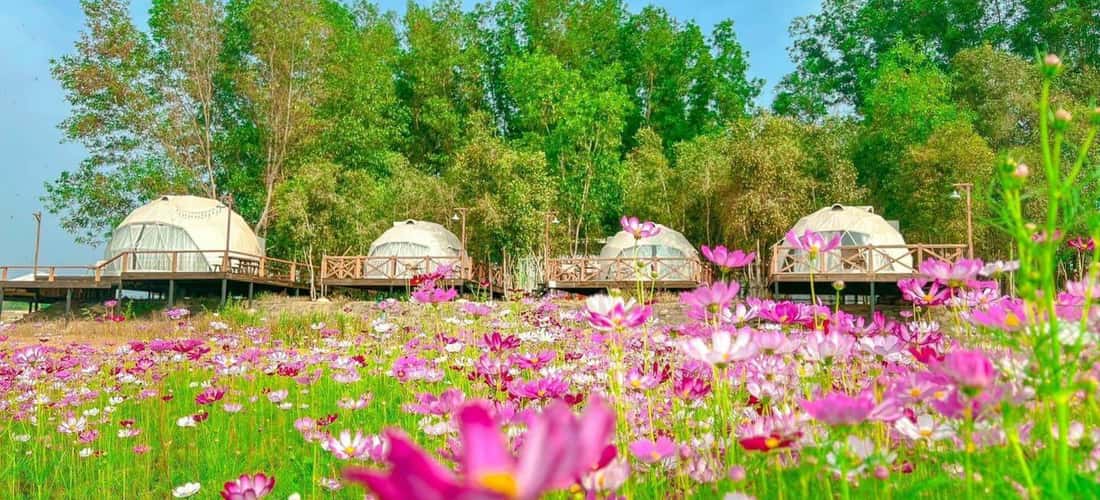 Tuy chỉ mới xuất hiện gần đây nhưng The Emma Glamping thu hút nhiều bạn trẻ với không gian xinh xắn, ngắm hoàng hôn lãng mạn bên hồ Trị An.