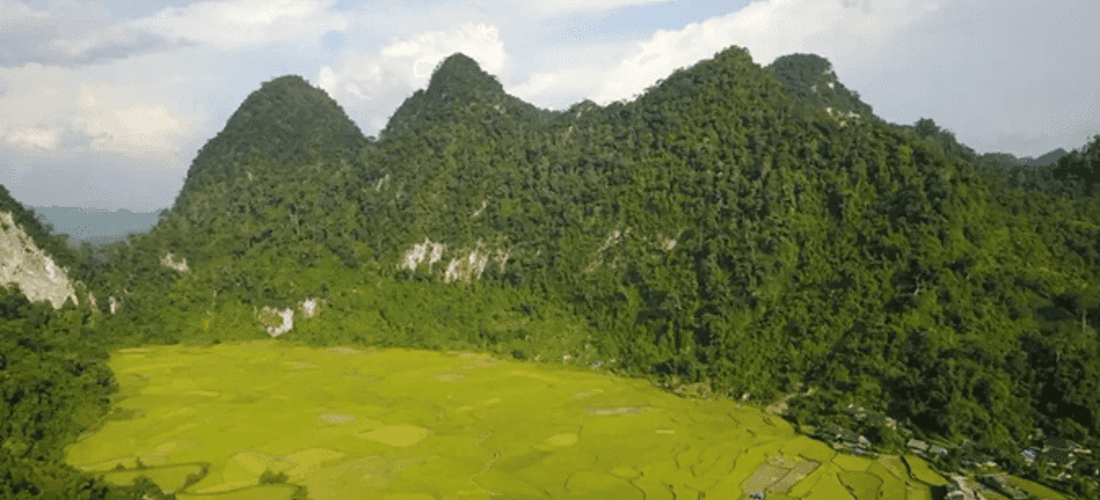 Khu bảo tồn thiên nhiên Kim Hỷ được thành lập năm 2003.