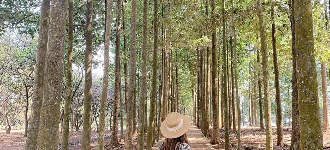 鹰岛旅游区确实是西贡附近理想的旅游区，是您周末短途旅行的解决方案。