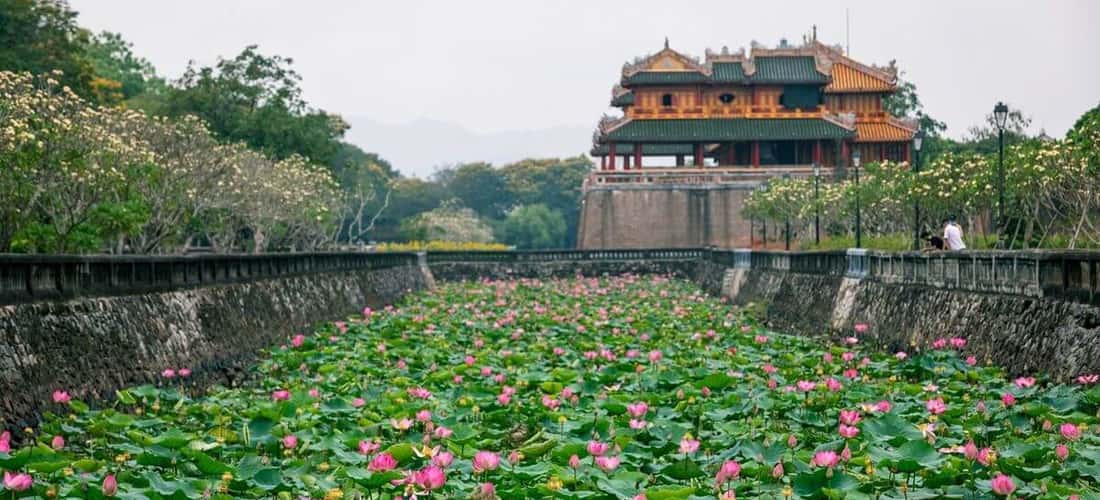 顺化Tinh Tam湖莲花盛开