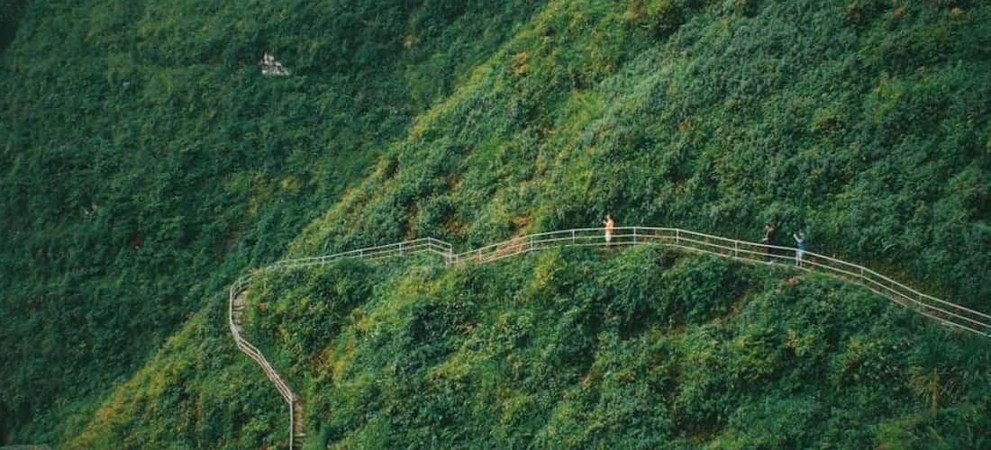 하장(Ha Giang)의 마법 같은 절벽 트레킹 코스는 시원한 나무들의 푸르름에 잠겨있습니다.