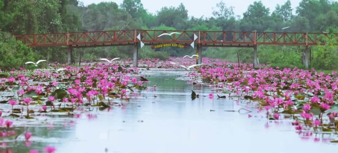 Con kênh hiền hòa thơ mộng