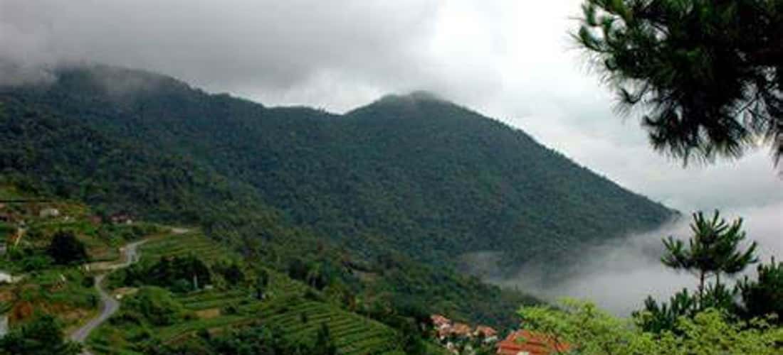 Vườn Quốc Gia Tam Đảo - Góc nhìn từ xa