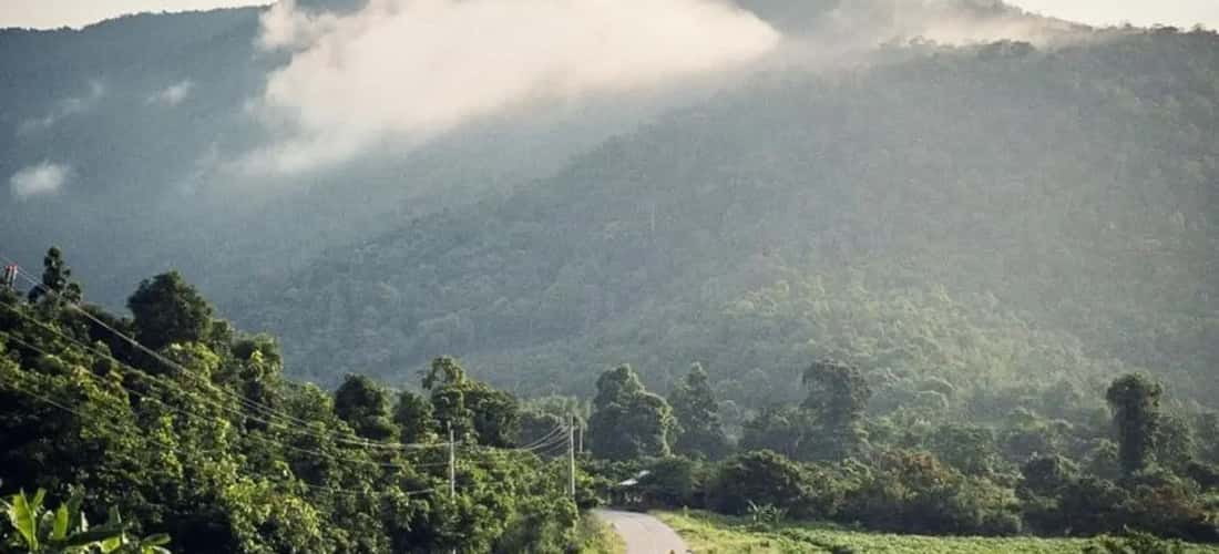 Những con đường mang tên “bình yên” dẫn đến vườn quốc gia Phước Bình