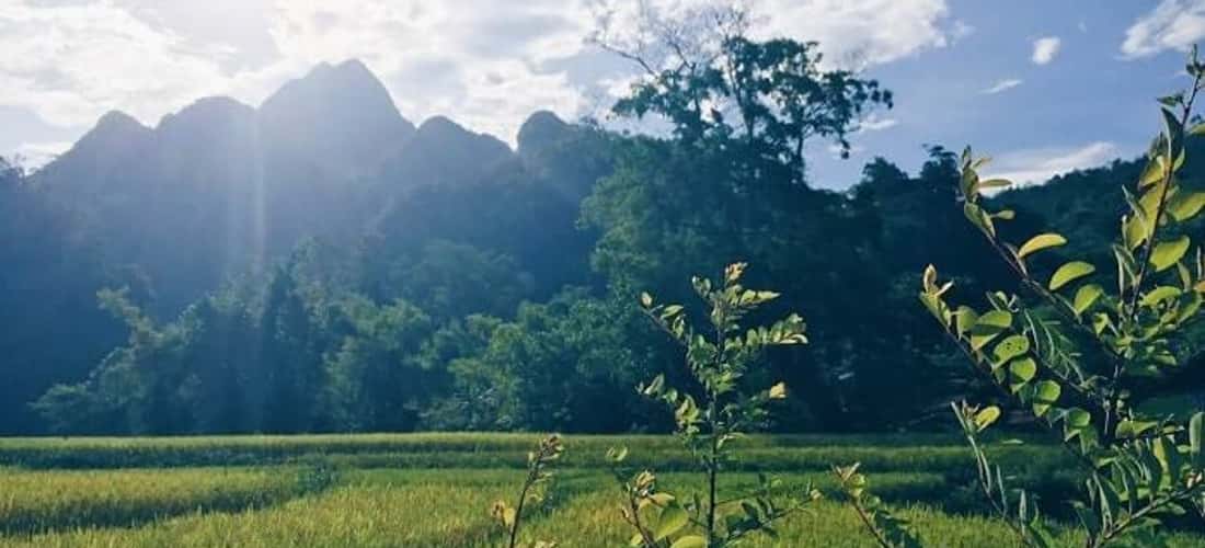 phu村的和平景观