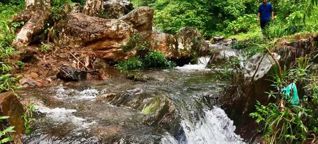 池塘的原始自然美景-Suoi Tien