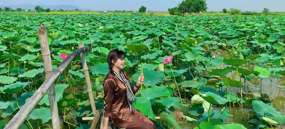 평화 롭고 꿈꾸는 아름다움은 Phu Thien Lotus Field의 매력을 만듭니다.