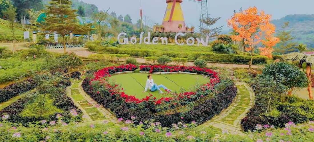 Nông trại Golden Cow sở hữu khung cảnh tuyệt đẹp với những vườn hoa khoe sắc, những tiểu cảnh tuyệt đẹp khiến các tín đồ du lịch mê mẩn