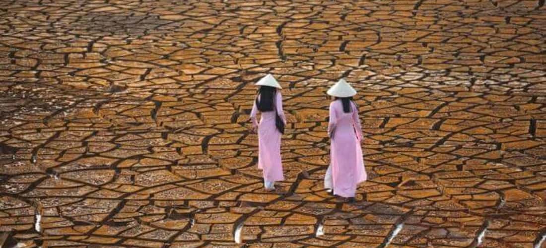 Bao Loc Chocolate Land实际上只是Ho Nam Phuong Bao Loc附近的干燥,破裂和深层土地的名称。