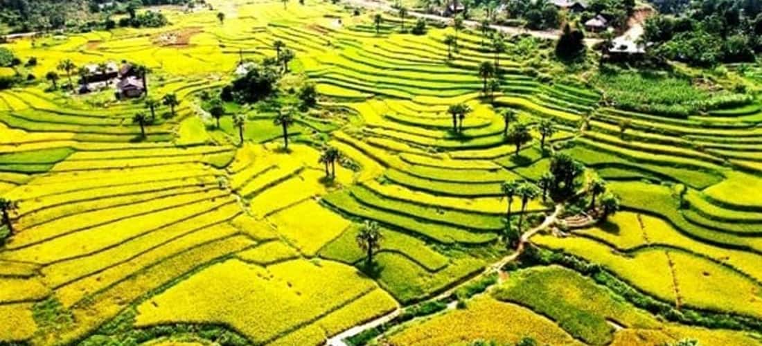 发现泰国nguyen版本，游客将能够欣赏诗意的风景，呼吸新鲜空气和喜悦，以拍摄许多美丽的照片作为纪念品。