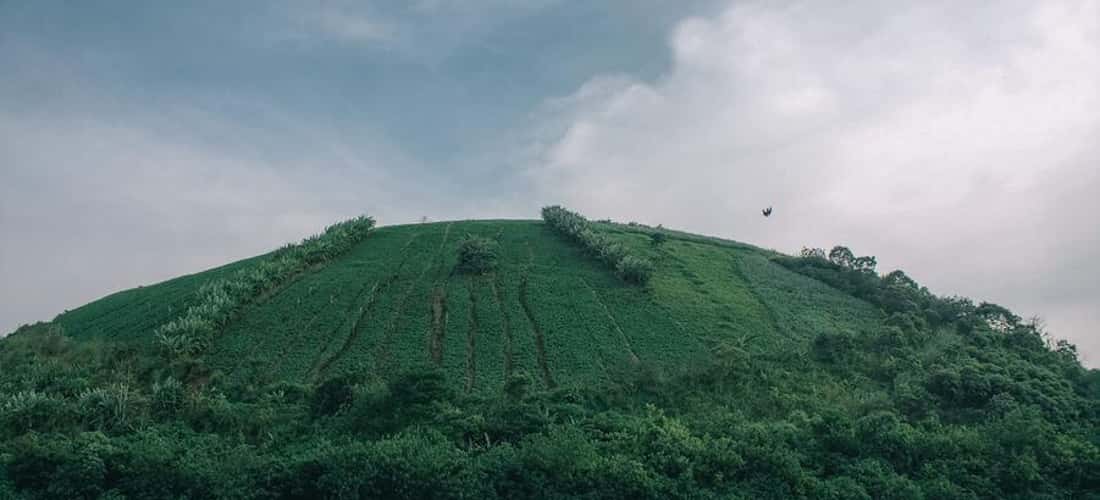 火山范围被认为可以追溯到10,000年的火山。