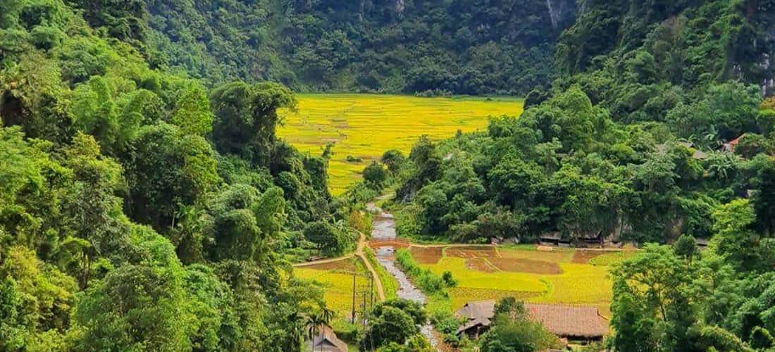 Là bản làng nhỏ ở thung lũng sâu trong vùng lõi Khu bảo tồn thiên nhiên Pù Luông, xã Thành Sơn, huyện Bá Thước, tỉnh Thanh Hóa.