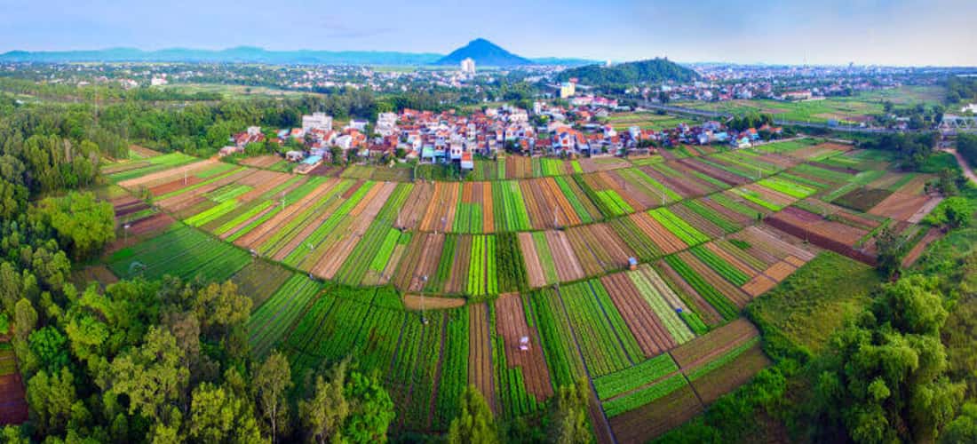 Làng rau Ngọc Lãng một chốn xanh yên bình đến lạ của Phú Yên
