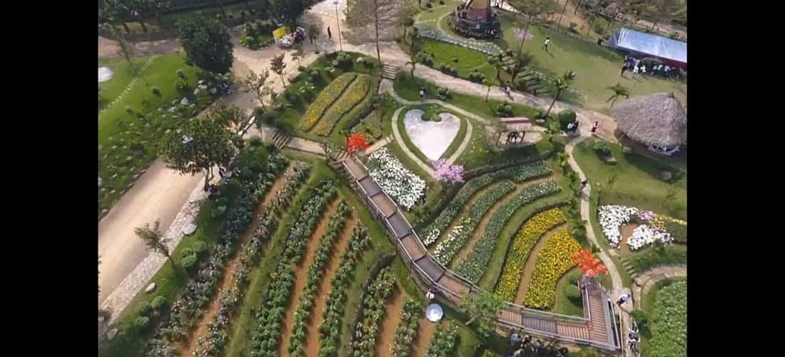 Nông trại nằm cách trung tâm thành phố Thanh Hóa 60km.