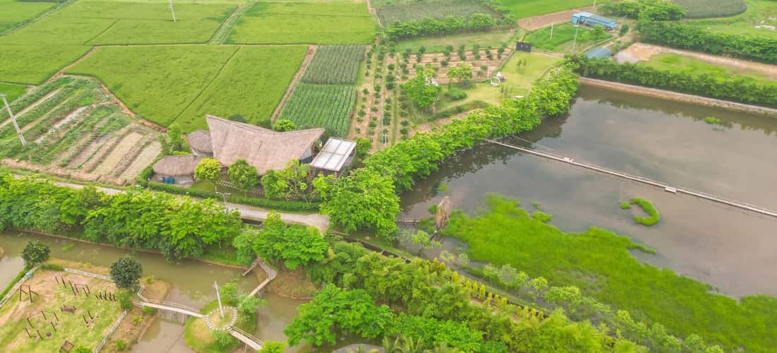 Không gian xanh mát khiến du khách vô cùng thích thú