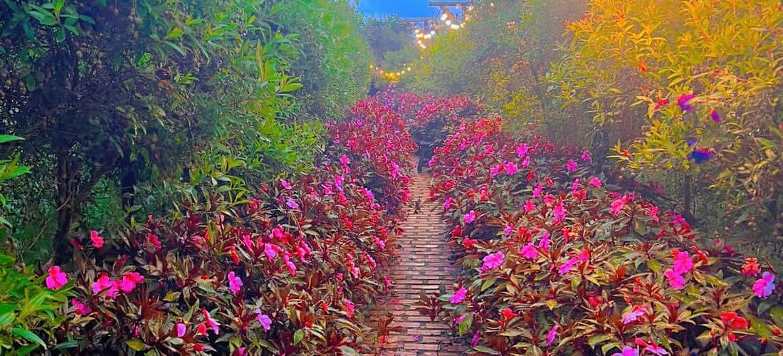 达拉特云山（Dalat Cloud Hill）创造了一个生动而宽敞的空间，天地，山脉，鲜花和光线在安静的空间中飘动。