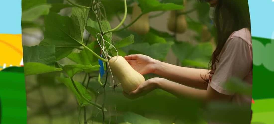 Trải nghiệm Nông trang hữu cơ công nghệ cao.