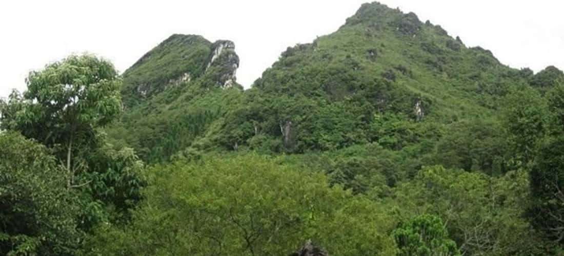 키가 크거나 장엄한 것은 아니지만 Ky Lan Mountain은 여전히 ​​Ninh Binh의 3 개의 다른 산 옆에 "4 개의 큰 페인트 이름"으로 선택되었습니다.