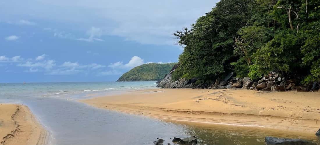 Suoi Hot Beach에 와서, 방문객들은 부드러운 하얀 모래가 뻗어있는 바람직한 자연 경관과 녹색 숲 생태계에 놀랄 것입니다.