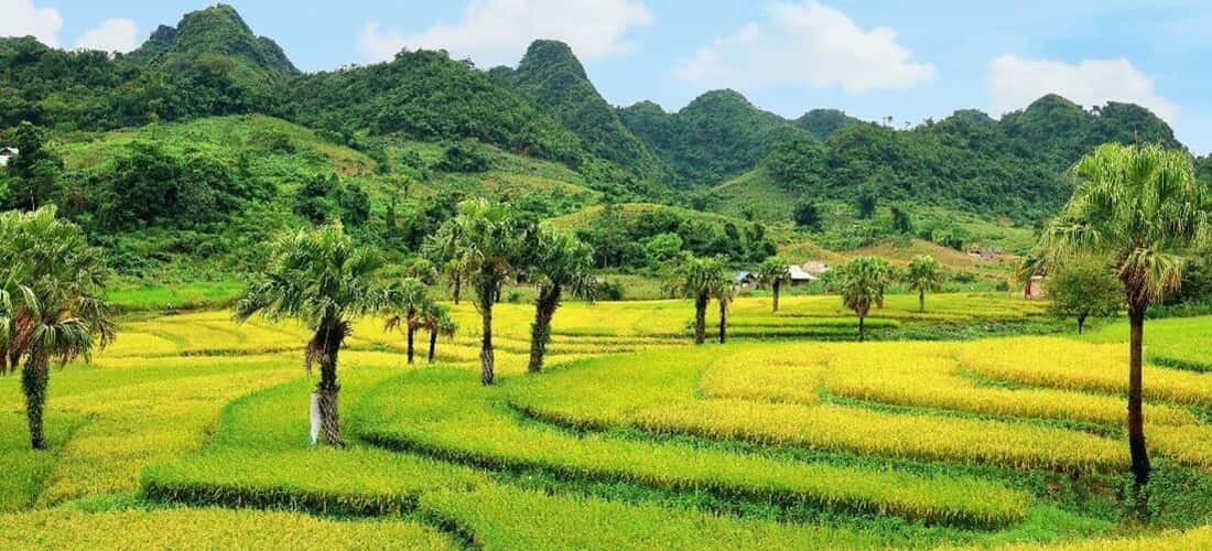 梯田田地的美丽不亚于西北地区。