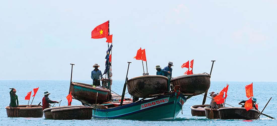 Hình ảnh lao động hăng say của ngư dân