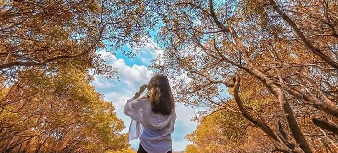Góc sống ảo đẹp điên đảo trên sông