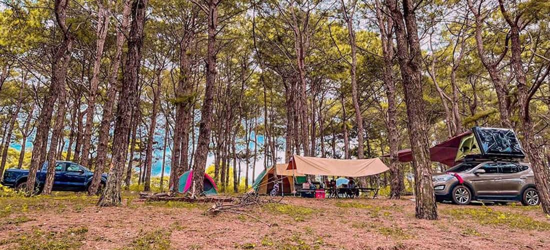 Dien Phu Pine Hill은 Pleiku City 남쪽의 Dien Hong Commune 영토의 Truong Sa Street에 위치하고 있습니다.