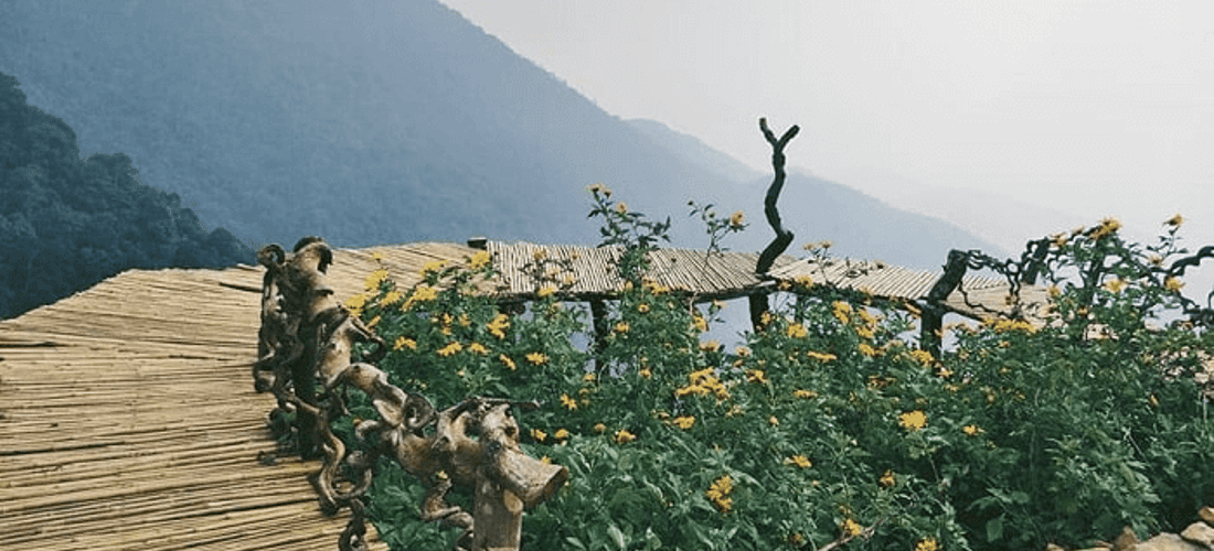 Tam Dao Cloud Bridge编织在天空中的竹子是最有吸引力的入住点。