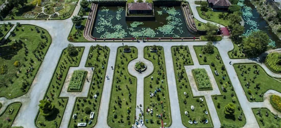 Khuôn viên rộng lớn tại vườn Cơ Hạ có nét kiến trúc vô cùng độc đáo. Các loài hoa được chia thành từng khu riêng biệt tạo nên vẻ mới lạ, độc đáo