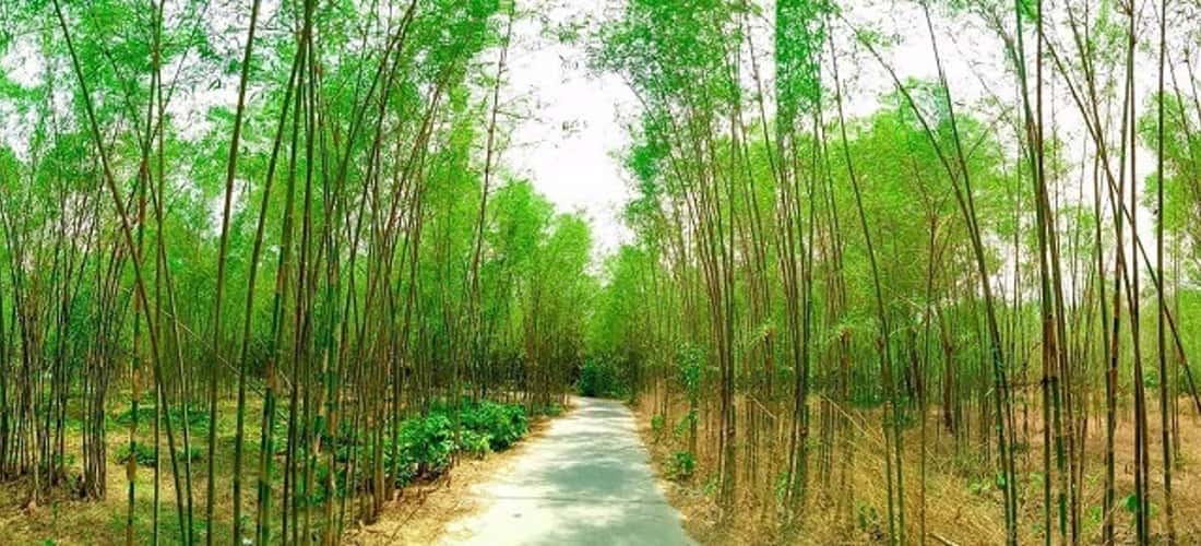 Vong O Ta Soc的道路位于Ong Soc的溪流中,位于Long Mountain的最高点,位于Tri Ton District的Luong Phi Comunce的Ninh Hamlet