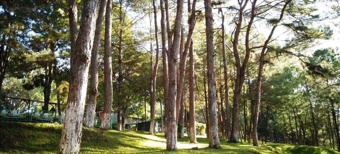 Công viên Diên Hồng vào mùa khô rất đẹp với không khí trong lành và khí hậu mát mẻ