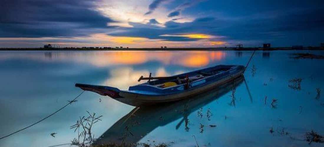 Ngắm nhìn thảm thực vật yên bình tại Đảo Nhím Tây Ninh