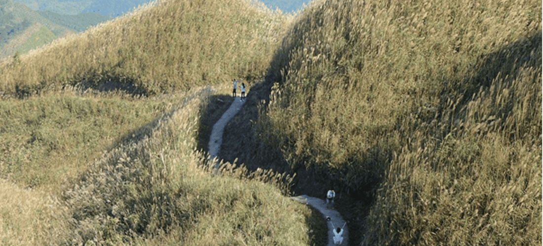 1297年里程碑地区被称为朗之子的草天堂。