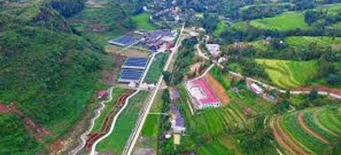 Không chỉ mở cửa đón khách tham quan với rừng hoa mang nét đặc trưng của núi rừng Tây Bắc
