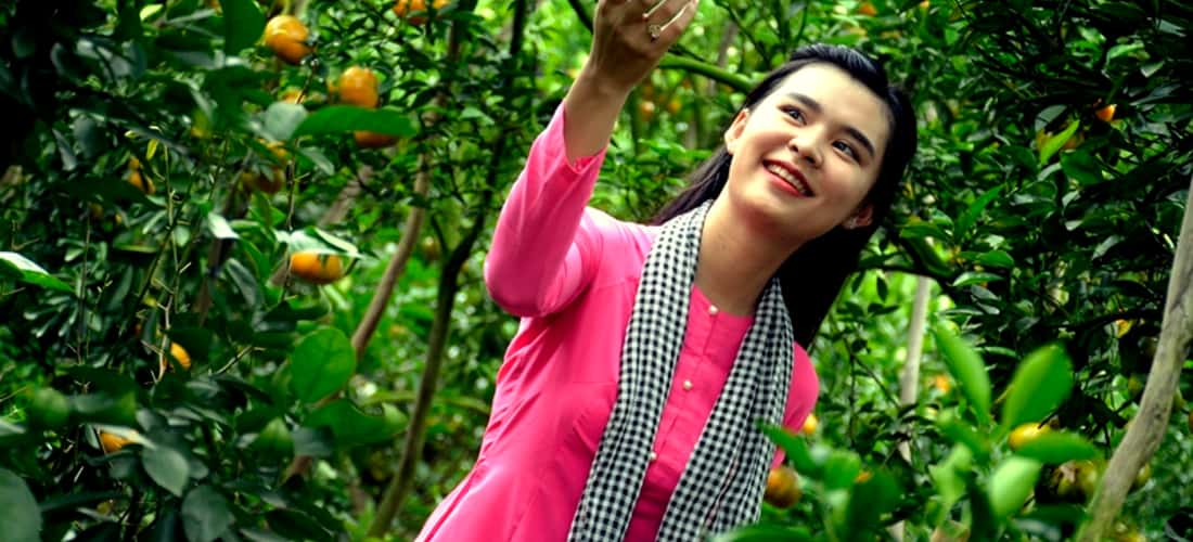잘 익은 딸기가있는 Lai Vung Tangerine Gardens는 당신이 즐기기를 기다리고 있습니다.