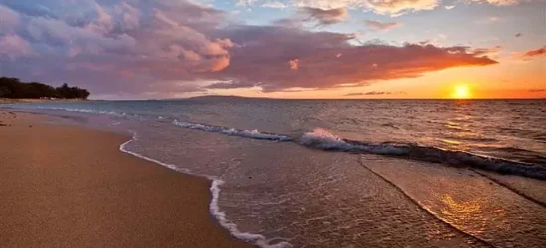迪恩·坦(Dien Thanh Beach)是热爱和平与诗意空间的人们的原始目的地