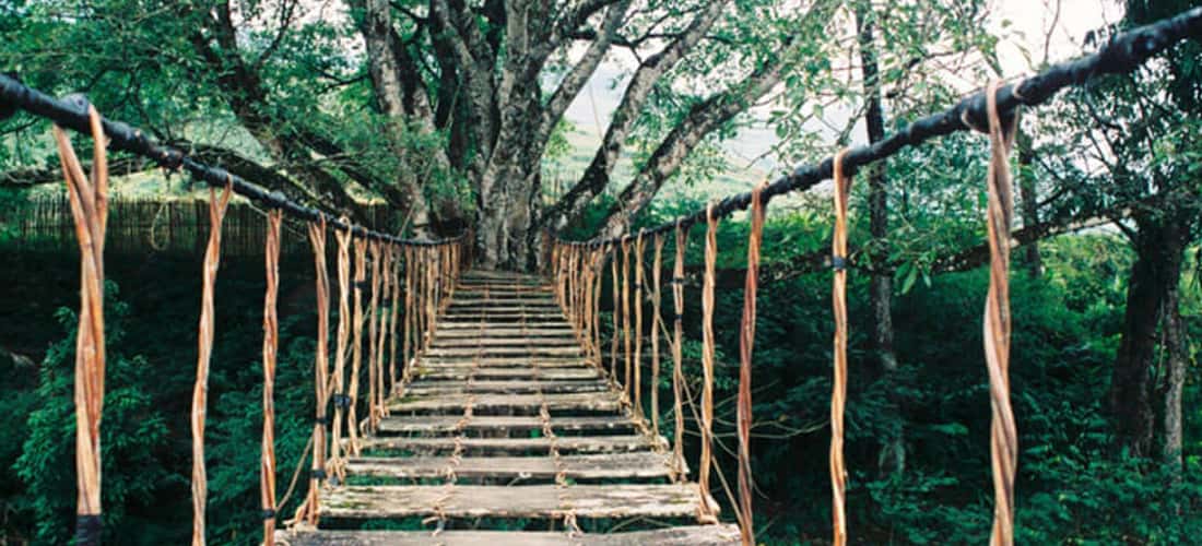 Vẻ đẹp nguyên sơ, mộc mạc, nhưng huyền bí của Cầu Mây đã khiến cái tên của nó trở nên đặc biệt yêu thích, đến nỗi được đặt cho rất nhiều nhà hàng, khách sạn, nhà nghỉ, quán café