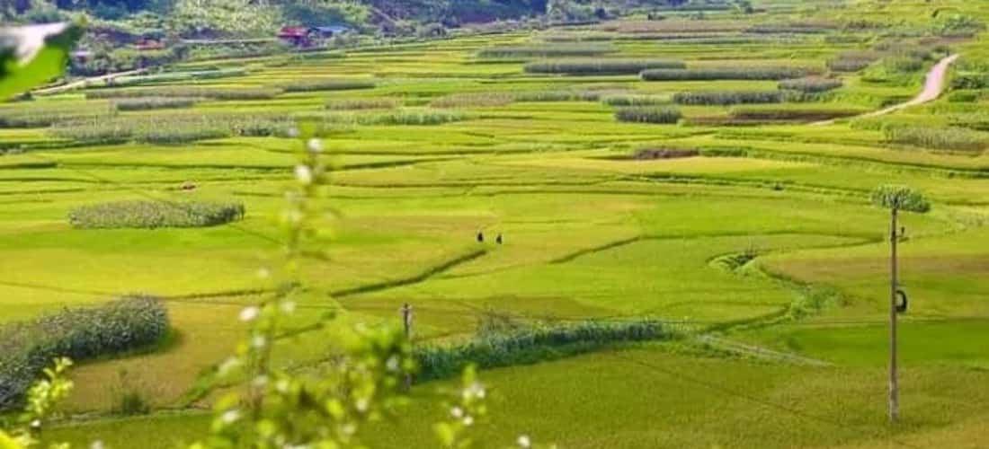 Bức tranh nên thơ, trữ tình đậm đà vẻ đẹp Tây Bắc.