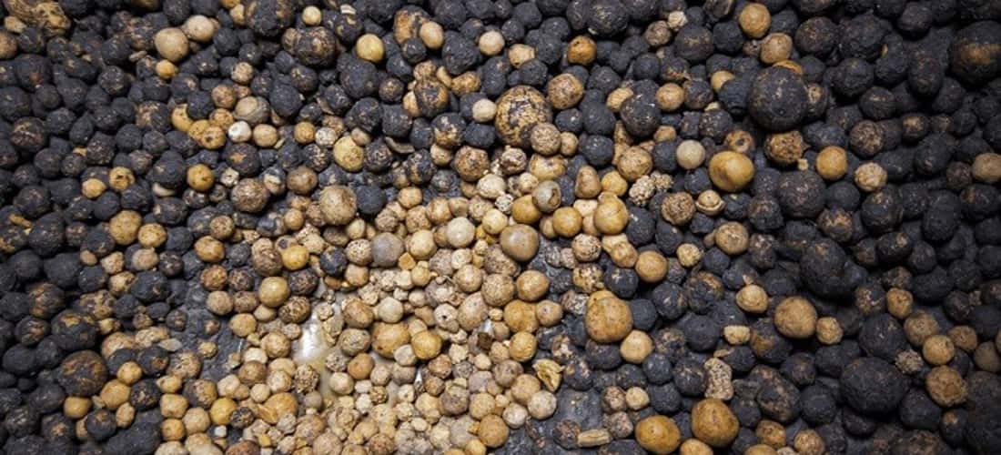 Thế giới diệu kỳ bên trong hang Nà Lả