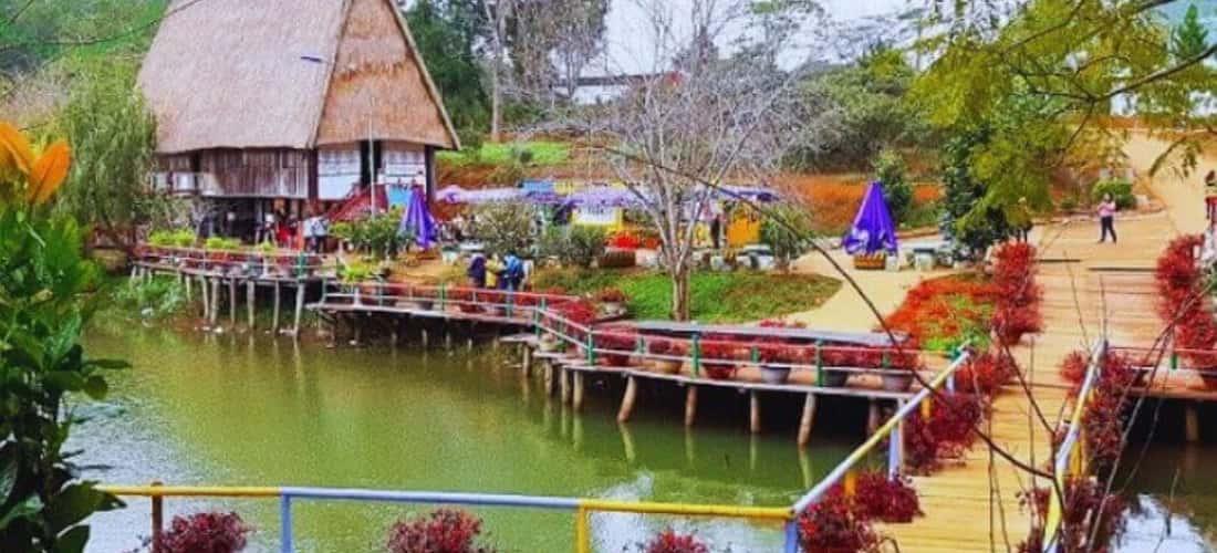 Xung quanh khu vực hồ có nhiều loài hoa khoe sắc rất đẹp