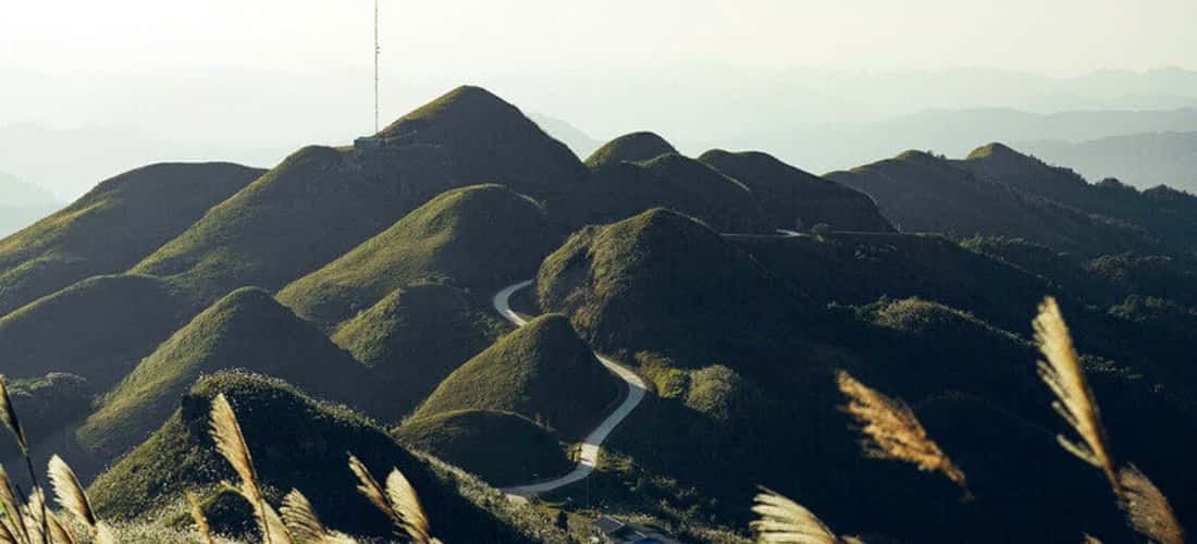 该地区距离1297里程碑的攀登点100-200m,后面的整山都在开花。