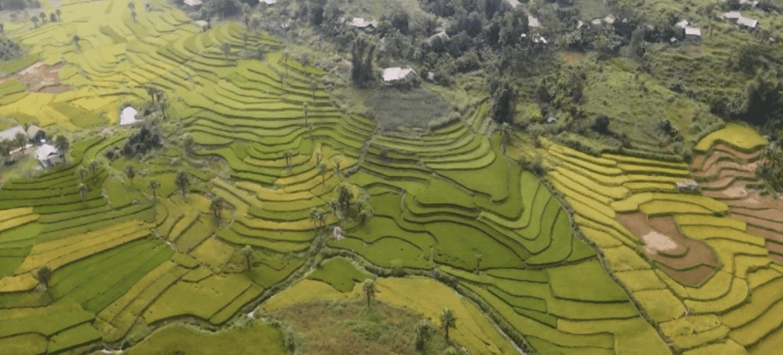 人们出现了一个宁静的小屋顶，使风景更加浪漫，充满诗歌。