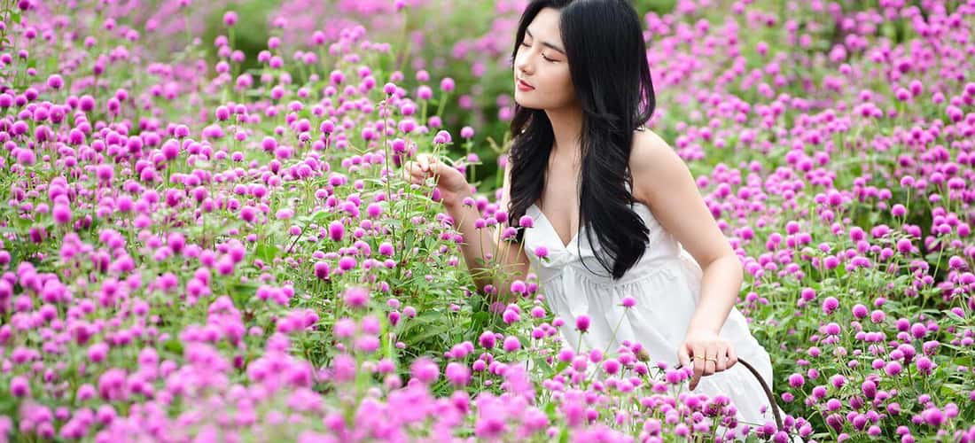 Phu Mau Flower Village의 신선함은 당신을 열정적으로 만들 것입니다