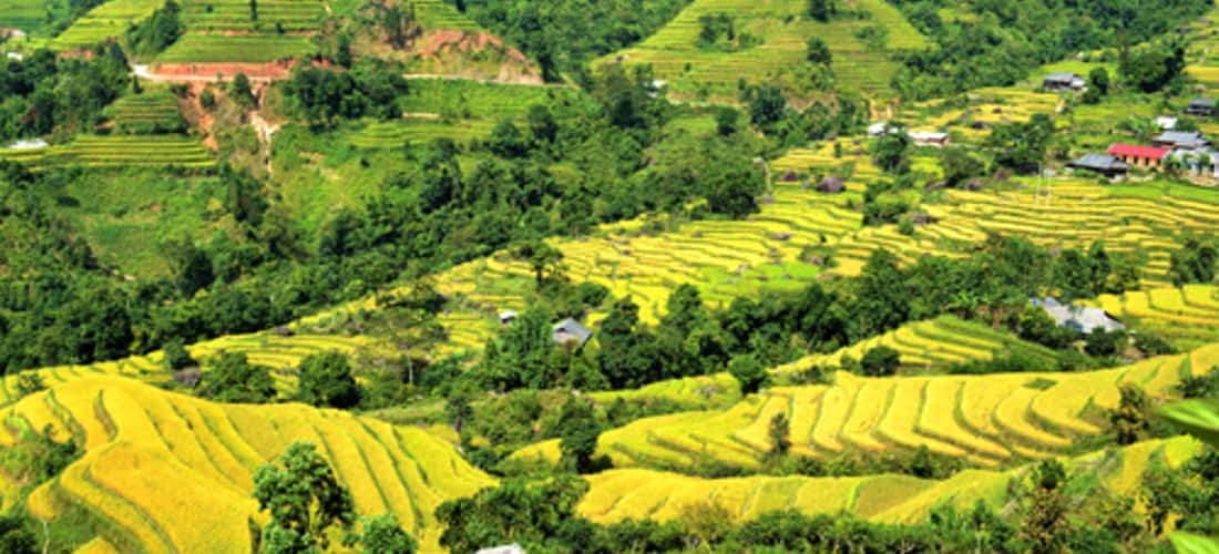 一年中的每个季节,杜吉亚·哈吉安(Du Gia Ha Giang)都穿着独立的美女