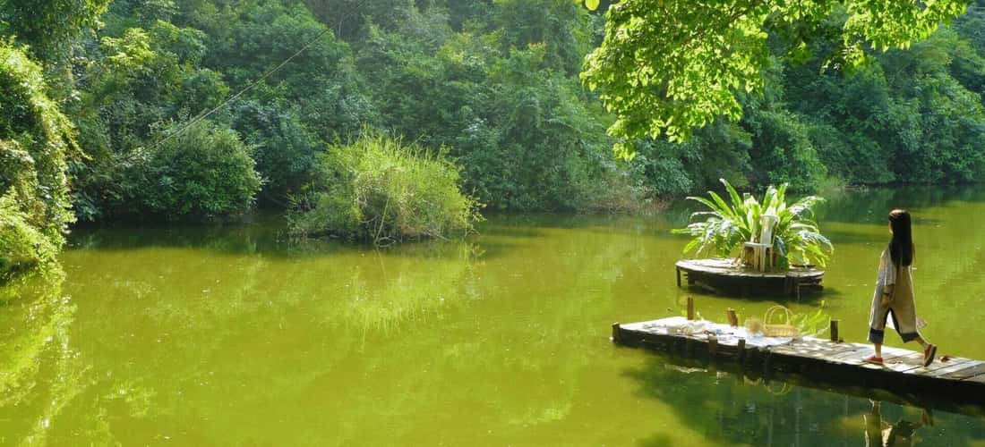 Quyet Mountain : Vinh City, Nghe의 "Green Ngoc Vien"