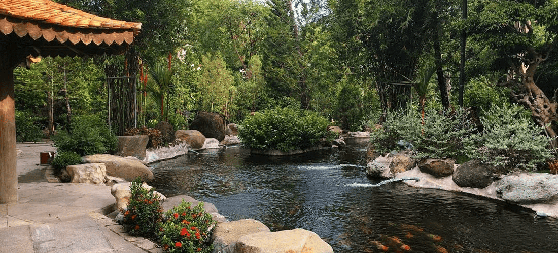 Điểm nhấn của khuôn viên thiền viện phải kể đến hồ cá Koi với những đàn cá đa sắc màu tung tăng bơi lội