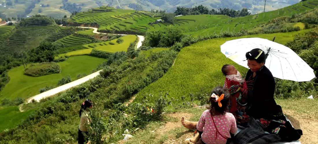 Ruộng lúa chín vàng bao quanh những nếp nhà nhỏ yên bình ở Bản Xèo.