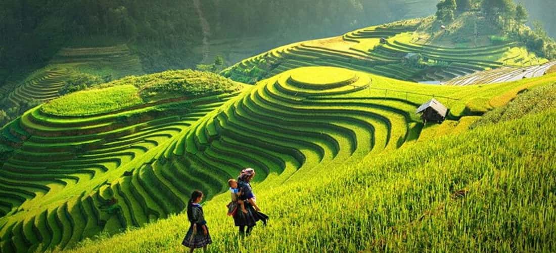 Vẻ đẹp của những thửa ruộng bậc thang ở bản Ngàm – Pốc xã Yên Thắng