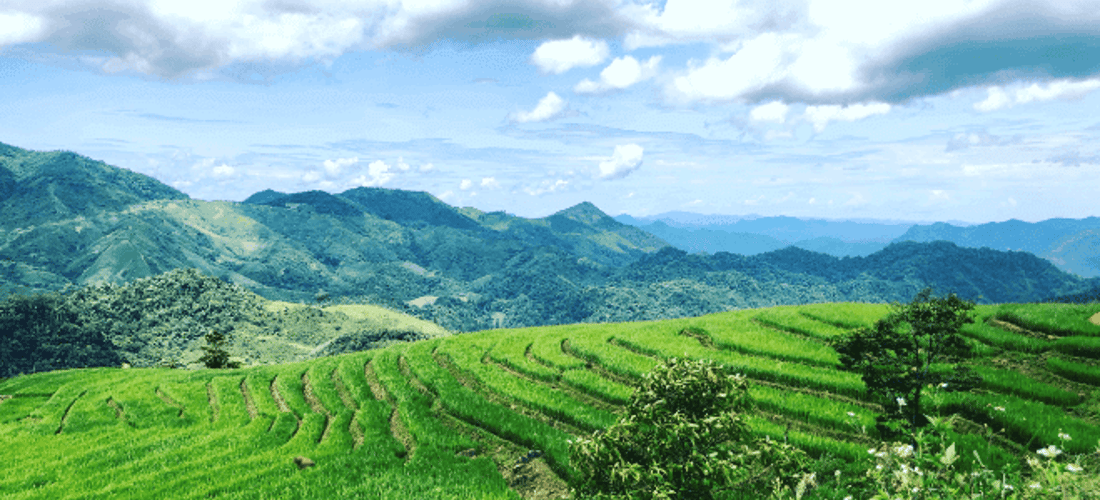 游客访问了纳吉(Na Ngoi)公社的班毛(Ban Mau),那里的pu xai lai leng是Nghe中最高的,它将欣赏这里山的野外美。